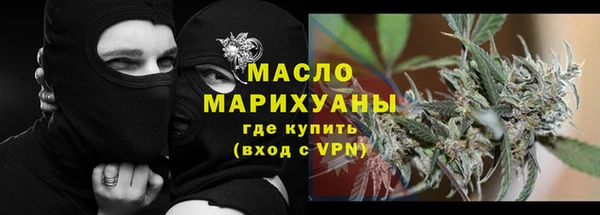 дмт Осинники