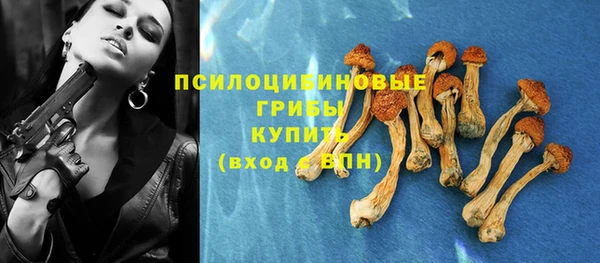 ешки Алзамай